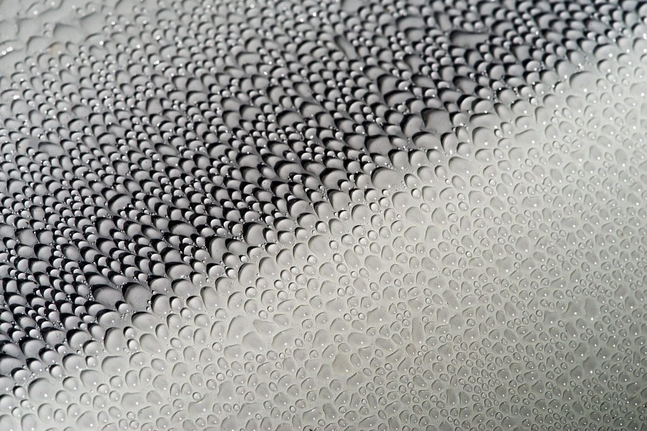 Professional ceramic coating application demonstrating premium protection quality